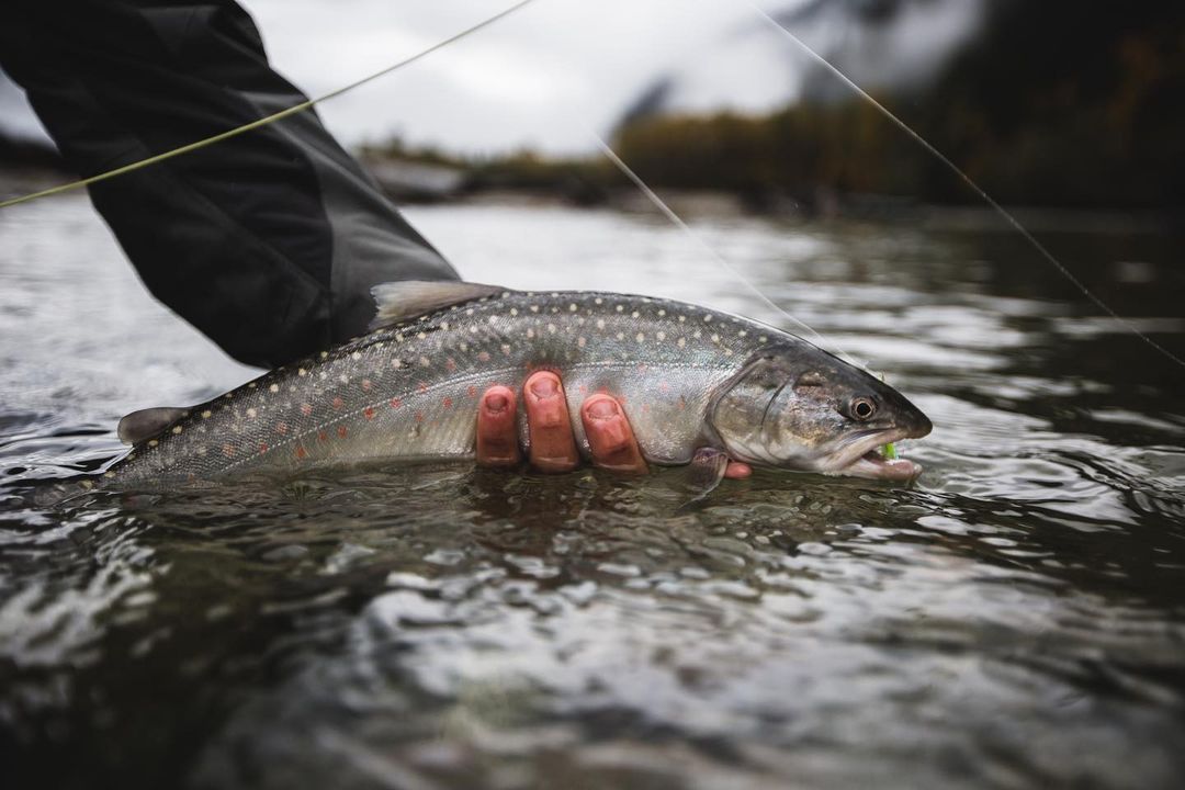 River Cabin Packages